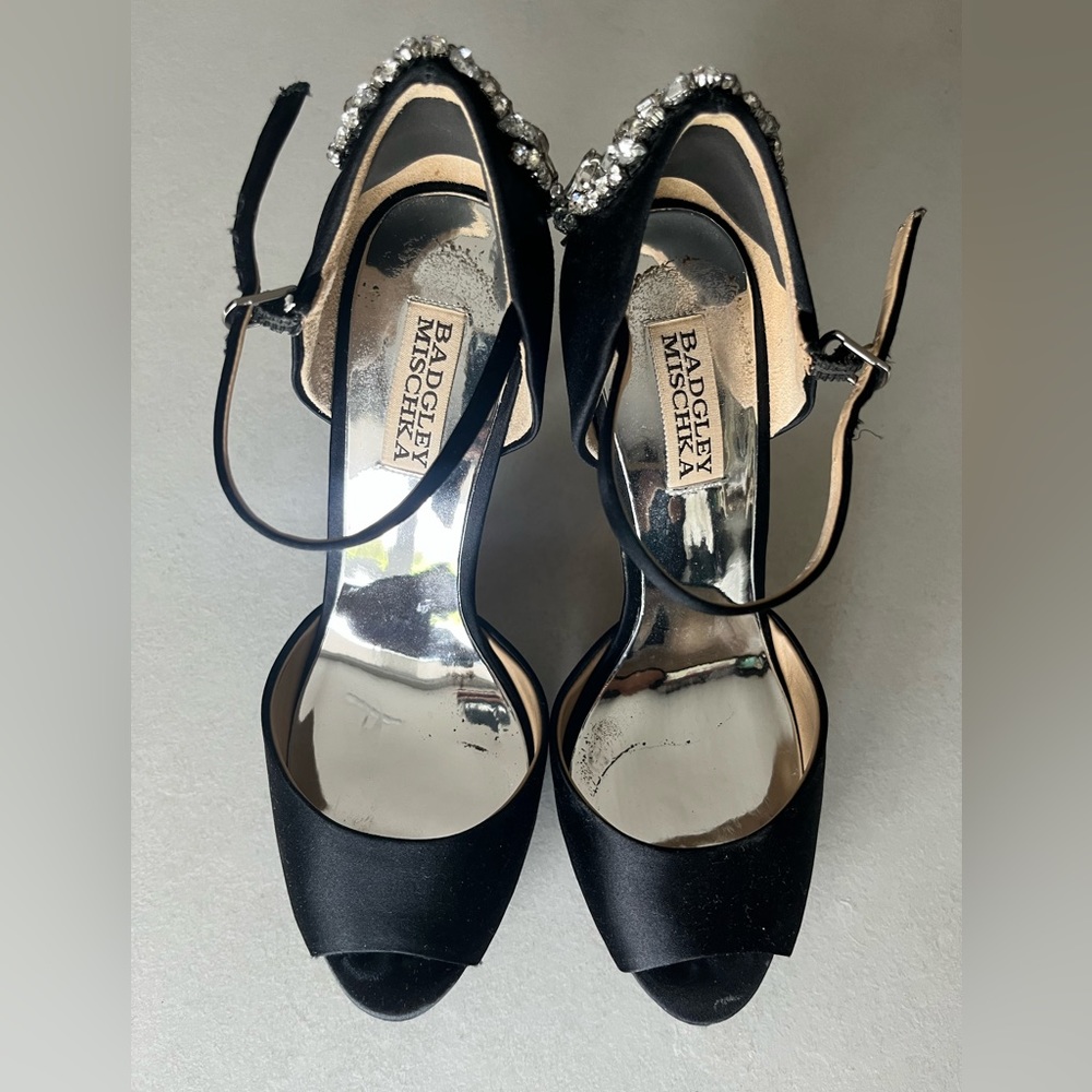 Badgley Mischa